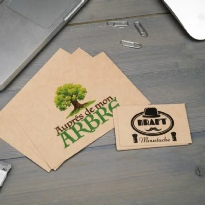 Flyer écologique pas cher