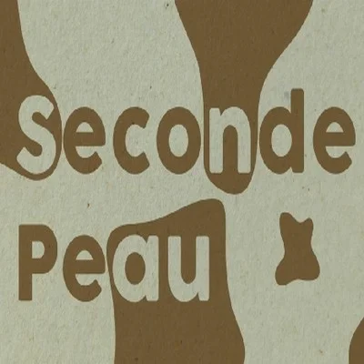 Flyer écologique pas cher