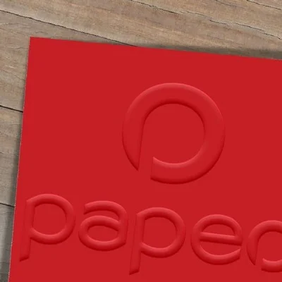 Impression vente de Flyer gaufré