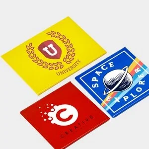 MAGNET-facile a poser sur voiture-2023-echoprint-2023-petit prix