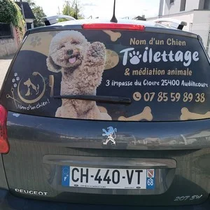 Micro Perforé voiture toilettage audincourt 2023