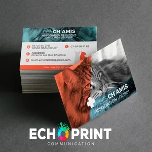 Carte de visite CH'AMIS