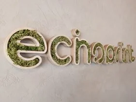 decoration murale echoprint seloncourt