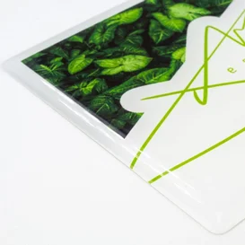 doming en vinyle  panneau publicitaire 