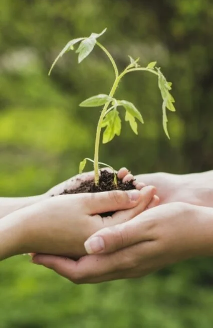 Un engagement écologique fort