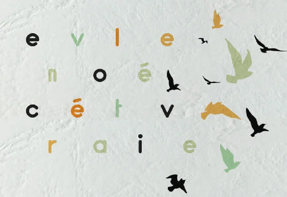 Dépliant papiers creation pas cher