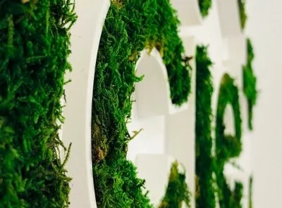 Logo végétal mousse naturelle pas cher