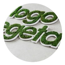 Logo & Lettre vegetal