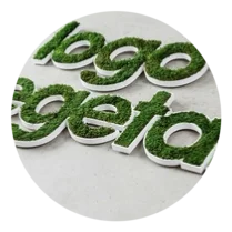 Logo & Lettre vegetal