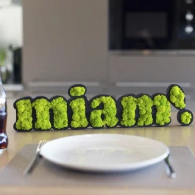 Logo végétal mousse naturelle pas cher