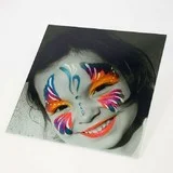 panneau-plexiglas PAS CHER