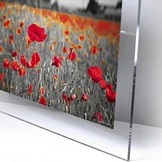 panneau-plexiglas PAS CHER