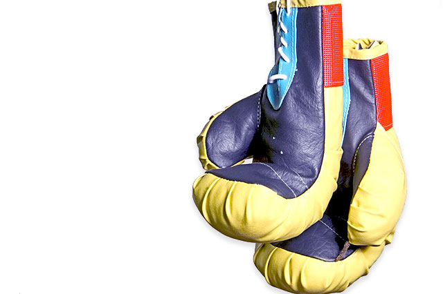 Boxing gloves