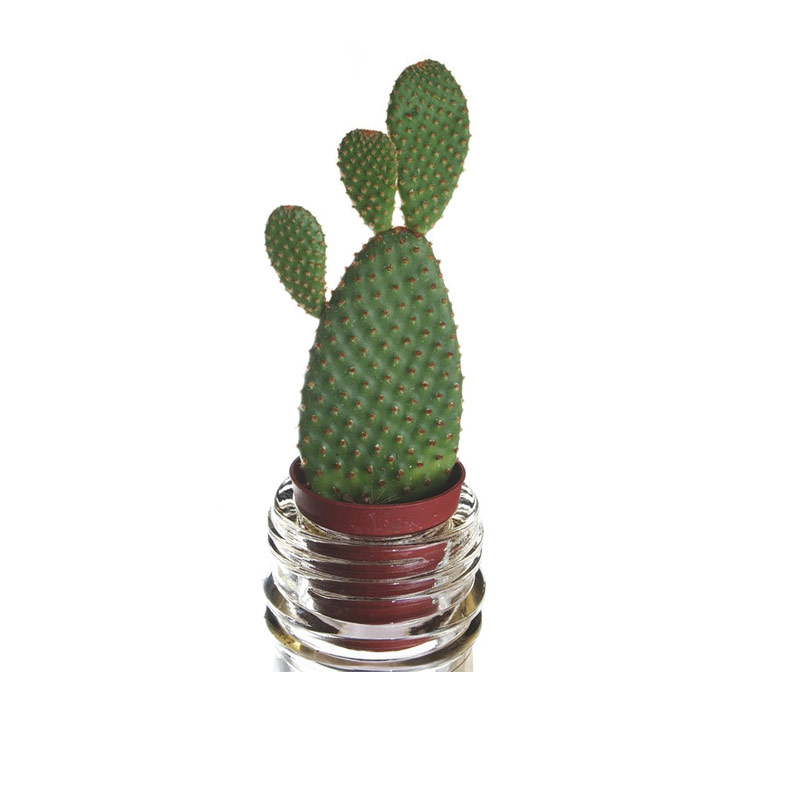 Product 7